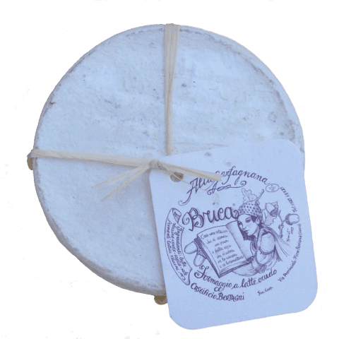 Brica Image