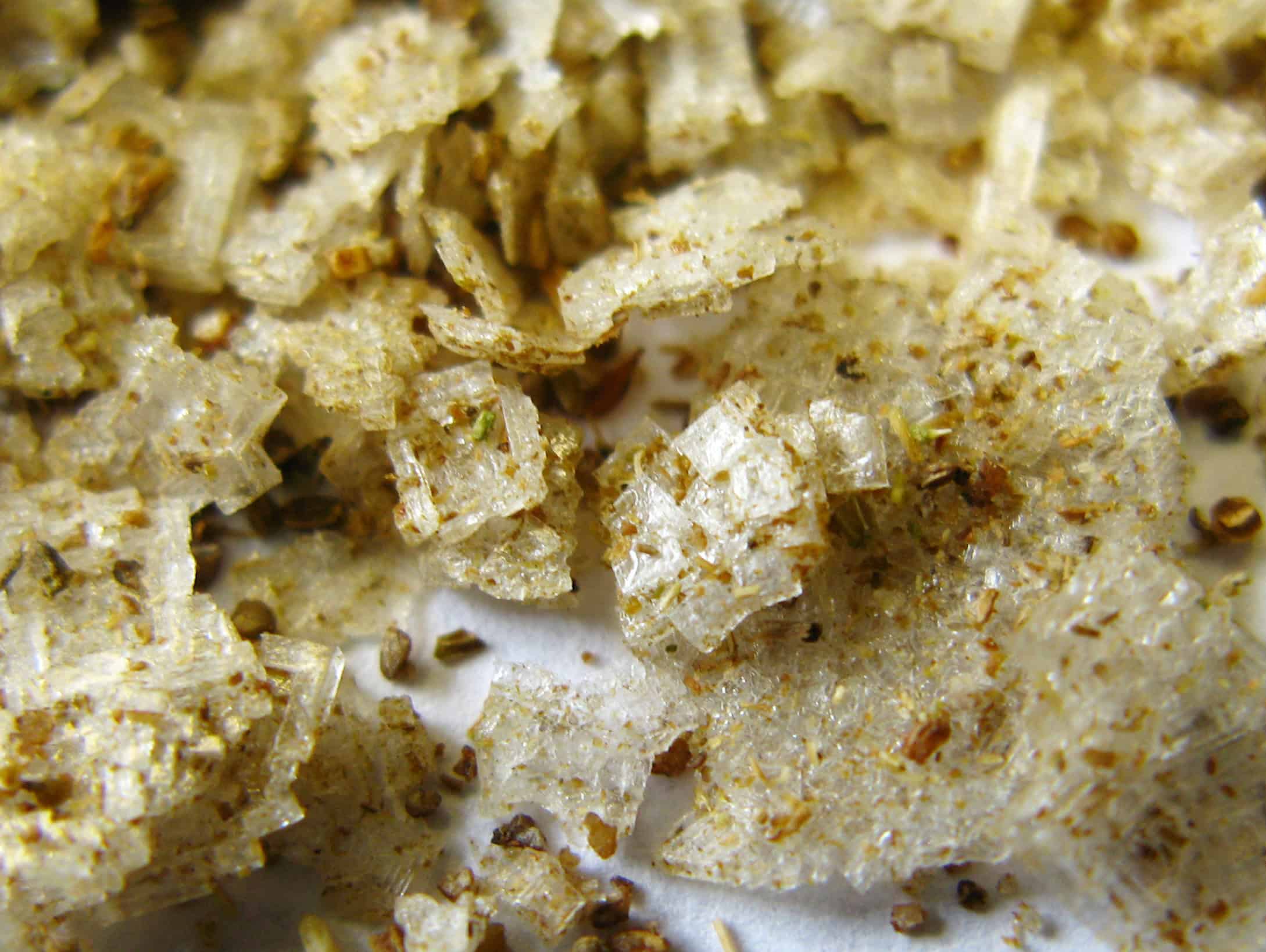 CelerySalt_3 Rogers Collection