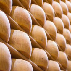 The Beauty of Raw Milk Cheese Image
