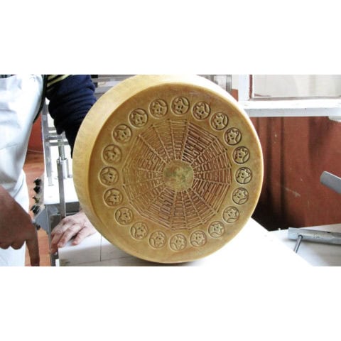 Brown Cow Parmigiano Reggiano DOP Image