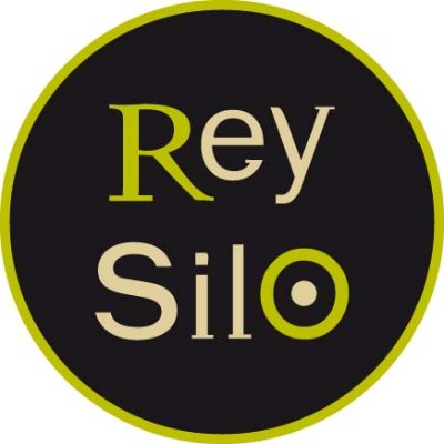 Rey Silo Image
