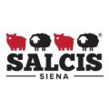 SALCIS Logo
