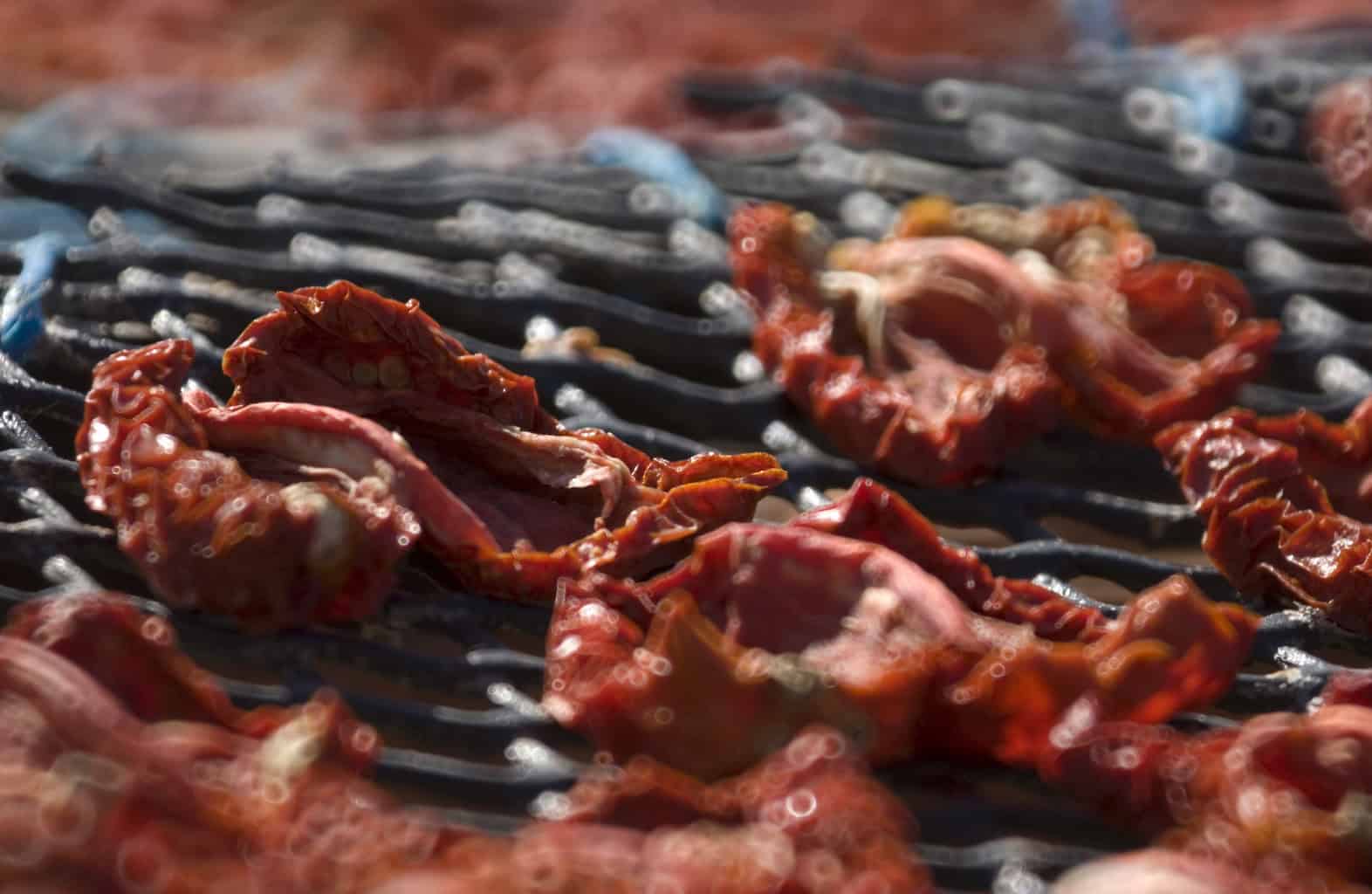 Mahjoub Family Lablabi - Rogers Collection