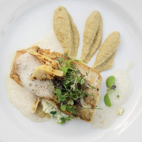 Sea Bass, Artichoke, and Olive Oil Potato Puree Image