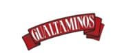 Gualtaminos Logo