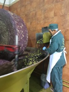 Process of Les Moulin Mahjoub Olive Oil