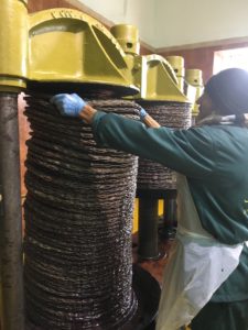 The making of Les Moulin Mahjoub Organic Olive Oil