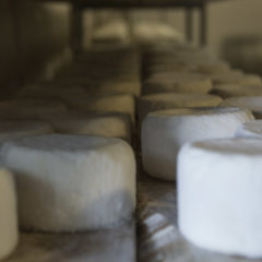 La Cabezuela cheeses: what dreams are made of! Image