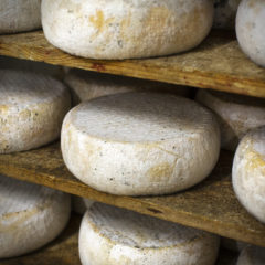 Piedmont Cheeses from Cascina Fontanacervo Image