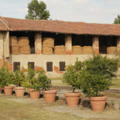 Our Trip to Cascina Oschiena’s Sustainable Farm! Image