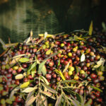 olives Image
