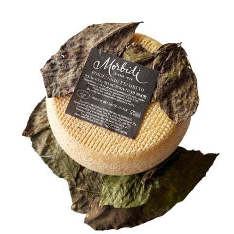 Foglie di Noce Image
