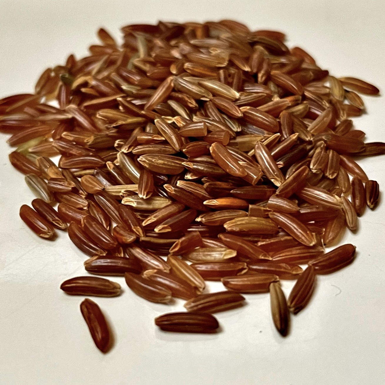 Granato and Ebano special rice salad with season vegetables caponata - Rogers Collection